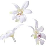 ���i�̏ڍ�