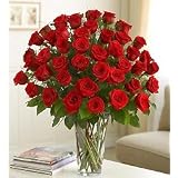 Flowers - Ultimate Elegance Premium Long Stem Red Roses - Four Dozen Red Roses
