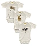 Positively Organic - B-baby Trio Short Sleeve Bodysuit Gift Set, 3 - 6 Months, Barn Babies