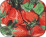 Bon-Bons, Strawberry Filled Hard Candy - 5 pounds