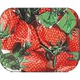 Bon-Bons, Strawberry Filled Hard Candy - 5 pounds