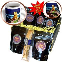 Dogs Golden Retriever - Golden Retriever - Coffee Gift Baskets - Coffee Gift Basket by 3dRose LLC