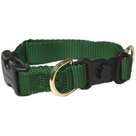 Premier Breakaway, Med. 1, Color: Green by Premier