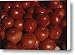 Plump Fresh-picked Tomatoes Canvas Print / Canvas Art - Artist Stephen St. John