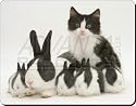 DUTCH RABBITS & CAT Mouse Mat