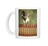 DOG - Belgian Tervuren, jumping over fence Photo Mugs