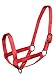 Derby Originals Nylon Cattle Halter at Wholesale Price Cow, Steer, Calf & Newborn - 5 Colors