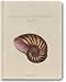 Shells (Taschen Deluxe Diaries) width=