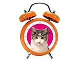 Kitchen & Housewares : Present Time - Animal Sound Alarm Clock - Cat Sound 18cm