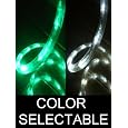 25Ft Color Selectable Rope Lights; emerald green and pure white LED Rope Light Kit; Christmas Lighting; outdoor rope lighting