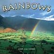 Rainbows 2009 Wall Calendar