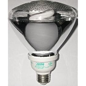 CFL Light Bulb, ECOBULB Plus, 23watt replaces 120watt