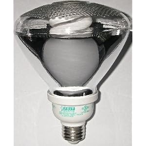 CFL Light Bulb, ECOBULB Plus, 23watt replaces 120watt by ECOBulb Plus