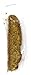 Biscotti Goddess Gluten Free Biscotti, Lemon Poppy, 12 Count