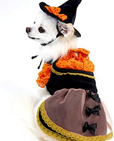 PoodleHouse Pet Costume Witch Set Style Design Pet Clothing Wool Jacket Winter Little Dog Coats for Puppy Maltese Medium