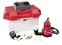 Ace Battery Back-Up Sump Pump (BWH6-A)