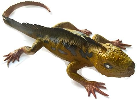by Angel Halloween Reptiles Iguana in Yellow Body and Black Spot