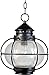 Maxim Portsmouth 1 Light Medium Outdoor Pendant with Oil Rubbed Bronze Finish