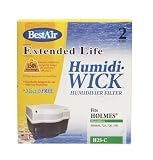 RPS #H25C 2PK Holmes Wick Filter