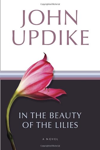 in the beauty of the lilies a novel