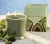 Pacifica Mediterranean Fig 5.5 oz Soy Boxed Glass Candle