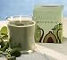 Pacifica Mediterranean Fig 5.5 oz Soy Boxed Glass Candle