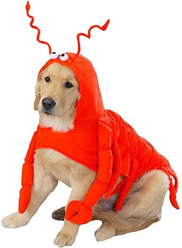 Pet Costume Lobster Paws Medium
