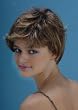 Small Hair Poster #4115 Hair Styling Poster