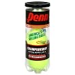 Penn Championship Extra Duty Can