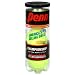 Penn Championship Extra Duty Can