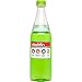 Aladdin Cafe To-Go Water Bottle, 20oz, Fern