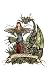 Attitude Amy Brown 81/2X11 Faery Art Print Fairy