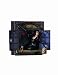 Search : Gotham City Stories: Part 2: Catwoman Statue