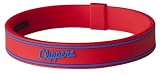 Phiten Los Angeles Clippers Titanium Bracelet X30 6.75