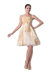 Spaghetti Strap Cocktail Organza Bridesmaid Dress/Prom Dress/Party Dress 