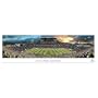 James Blakeway (University of Oregon) Panoramic Sports Poster Print - 14x40