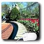 Ohio University - Tulips - Mouse Pads