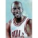 Michael Jordan Chicago Bulls NBA champions poster - 13x19