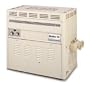 Pentair 460622 Stainless Steel MiniMax Almond CH Natural Gas Heater 0-2999 Altitude, 350-BTU
