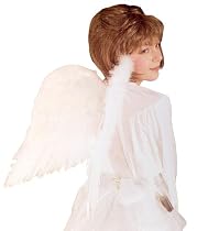 White Feather Wings 22"