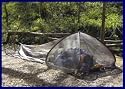 Pop-up Mosquito Net - Single