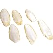 6 Carve & Cast & Jewelers Casting Mold Tools