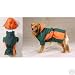 Dog Coat - Zack & Zoey Base Camp Parka - Green & Orange - X-Large - (XL)