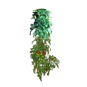Felknor Ventures FV506R Plug 'N Gro Bag Jr