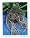 David's Garden Tool Seed Starter Organic Cow Pot 3 Inches Square 20 per Order