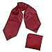DRC1E01 Multiple Colors Solid Soft Stain Evening Ascot Handkerchief By Dan Smith