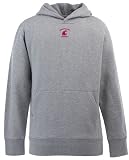 Washington State YOUTH Boys Signature Hooded Sweatshirt (Grey)
