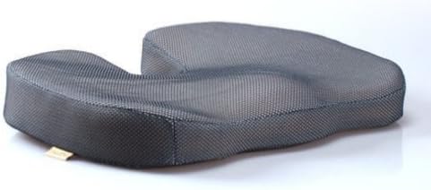 U-Shaped Mesh Slow Rebound Memory Foam Seat Cushion Color: Gray Color Mesh