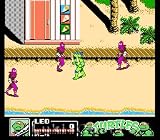 Teenage Mutant Ninja Turtles III: The Manhattan Project