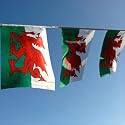 Wales flag bunting, fabric 9m/30 flags